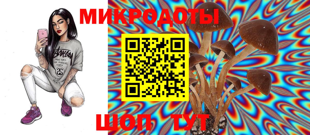 Псилоцибиновые грибы GOLDEN TEACHER Симферополь